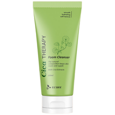 가성비갑 클렌징 에꼬씨 시카 딥 클린 폼, 4개, 100ml