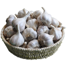 25년 의성마늘 육쪽 한지형 토종 국산마늘 통마늘, 1개, 중3kg 약 110-120개