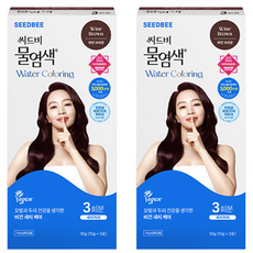 SEEDBEE 頭皮養護草本水染髮, 2盒, Wine Brown