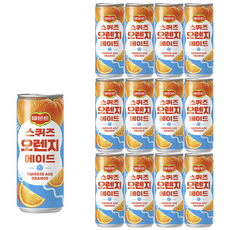 롯데칠성 델몬트 스퀴즈 오렌지 에이드, 240ml, 12개