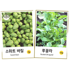 허브씨앗 스위트 바질 루꼴라 씨앗 종자 바실 키우기 basil arugula, 1개