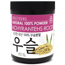 퓨어영 우슬 분말 가루 쇠무릎뿌리, 1개, 350g