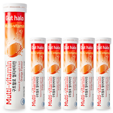 구트할로 멀티 오렌지맛 발포비타민, 20정, 6개
