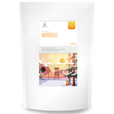 Dr.root 菊花茶三角茶包, 1.2g, 100包, 1袋