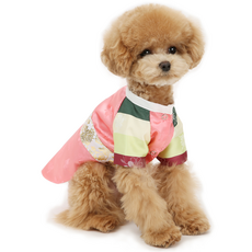 ITS DOG 狗狗延宇王子彩緞韓服, 混合顏色