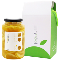 담아요 수제청 과일청 1구 선물세트, 1세트, [1구]레몬청650g