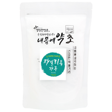 내몸에약초 자일리톨 가루 분말형 지퍼팩, 500g, 1개