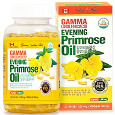 네이처스힐 캐나다직수입 감마리놀렌산 달맞이꽃종자유 (1001mg * 300캡슐) 'Evening Primrose Oil', 300정, 1개