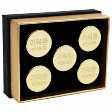 기력환 파워 5환 [거창한방연구소][거창식품], 25g, 1개