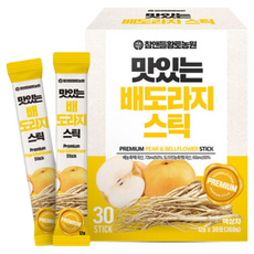 참앤들황토농원 맛있는 배도라지스틱 + 쇼핑백, 360g, 1박스