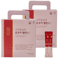 천양삼 6년근 고려홍삼정 온코어 밸런스 홍삼스틱 100포, 1.5kg