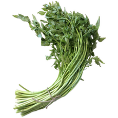 돌 밭 생 세척 손질 나물 제철 뿌리야채 미나리 다이어트녹즙 거머리 싱싱 500g 1kg, 1개