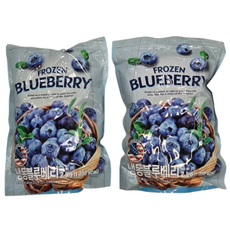 미국산 냉동블루베리 드라이아이스 아이스박스포장 [트레이더스], 2개, 2kg