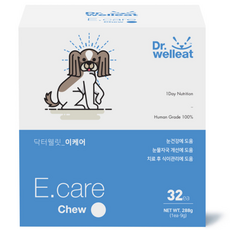 닥터웰릿 강아지 영양간식, 이케어, 288g, 1개