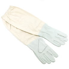 KP 양봉 장갑, 1개