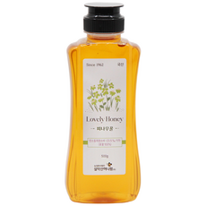 설악산허니팜 자연벌꿀 피나무꿀, 500g, 1개