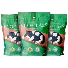 에스클래스 에코클래스 고양이 모래 6kg, 3개, 무향