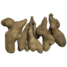 국산 주먹마 파지마 5kg 생마 알뜰마 마쥬스 마전 마요구르트 마우유, 1개