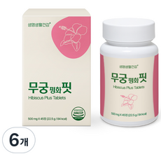 생명생활건강 무궁평화핏, 6개, 45정