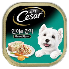 시저 애견간식 캔, 연어+감자, 100g, 6개
