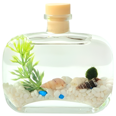 (달빛마녀캔들)바다 마리모 키우기 세트 반려식물, 만들기 키트, 1개