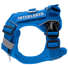 寵物胸背帶, 藍色, 1件
