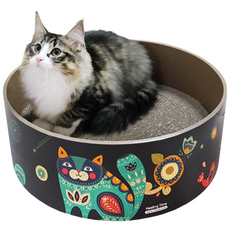 HEALING TIME BTOB 띵가띵가 基本款貓抓板, 宇宙, 1個