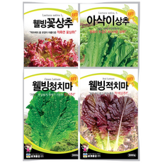 모칸도 추천 상추씨앗 모음 4종 세트 사계절 쌈채소 청치마 적치마 꽃상추 아삭이상추, 1개