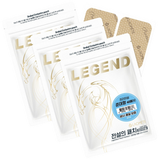 [본사직영] 라오메뜨 전설의패치 R 프리미엄 준대형 (구)이런시원한 파스, 3개, 40매입