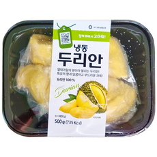 재호 냉동 두리안 [500g+500g] 햇두리안 드라이아이스포함, 1개, 1kg