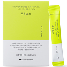 Prum wellness 清爽酵素 鳳梨口味 30入, 1個, 90g