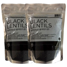 블랙렌틸콩, 500g, 2개