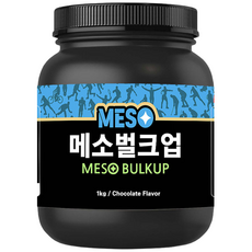 메소벌크업 탄수화물 살찌는 벌크업 체중증가 칼로리 동물성 식물성 단백질 헬스보충제 프로틴 wpc 유청단백질 가루 건강 선물, 1kg, 1개