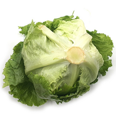 야채왕 양상추 12통 박스