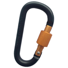 안전닷컴 캠핑 등산 고강도 잠금형 D형 카라비너 1개, 블랙