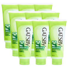 갸스비 쉐이빙 젤 모이스트 타입 205g, 9개