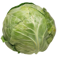 용이네 국내산 양배추 단단한 양배추 1통 2통 3통 적채 적양배추, 2개, 1.5kg