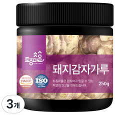 토종마을 HACCP인증 돼지감자가루, 3개, 250g