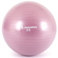 아이워너 안티버스트 짐볼, 와일드핑크