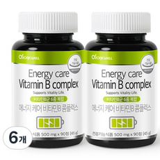 로니웰 에너지케어 비타민B 콤플렉스, 6개, 90정