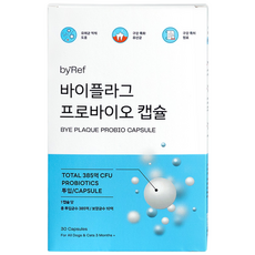 바이레프 바이플라그 프로바이오 캡슐 유산균 구내염 1개월, 1개, 장건강/유산균, 30정
