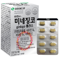 유한메디카 미네징코 은행잎추출물150mg, 50g, 4개