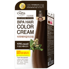 NEW 자연으로 비파헤어칼라 크림 가성비 실속형 염모제 20g X 5 산화제20g X 5, 1개, B1흑갈색