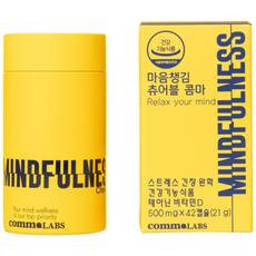 L 테아닌 스트레스 긴장완화 건강기능식품 마음챙김 츄어블 콤마 영양제, 1개, 42정