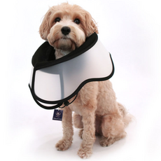 DING DONG PET 寵物可折疊式結紮頸圈 頸部保護套, 1個, 黑色