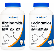 Nutricost Niacinamide (Vitamin B3) 뉴트리코스트 나이아신아마이드 비타민B3 500mg 240캡슐 2팩, 240정, 2개