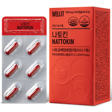 WELLIT 納豆激酶膠囊, 30顆, 1盒