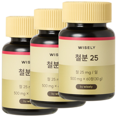 와이즐리 철분 25 (2개월분), 60정, 3세트