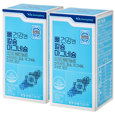 광동 뼈 건강엔 칼슘 마그네슘, 121.5g, 2개
