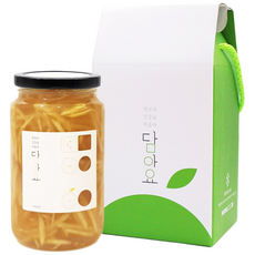 담아요 수제청 과일청 1구 선물세트, 1세트, [1구]모과청650g